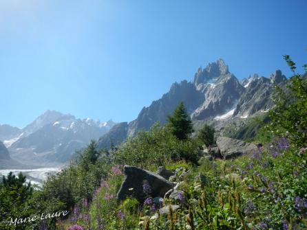 Chamonix balcon nord 2 2013 08