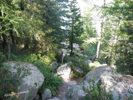 Chamonix balcon nord 8 2013 08