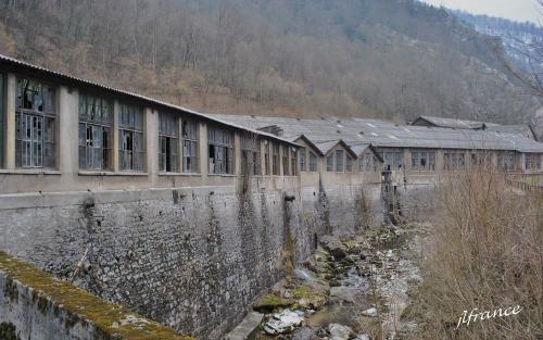 Chartreuse 1