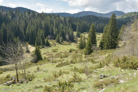 Col de carri 2022 05 15