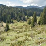 Col de carri 2022 05 15