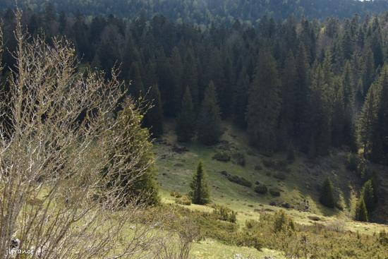 Col de carri 2022 05 16