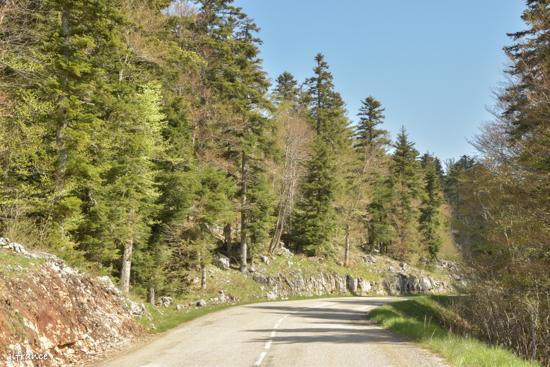 Col de carri 2022 05 19