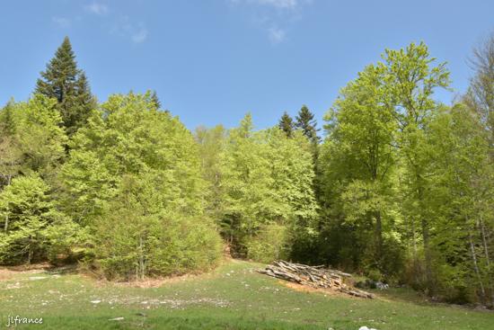 Col de carri 2022 05 23