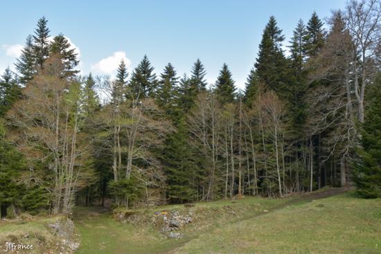Col de carri 2022 6