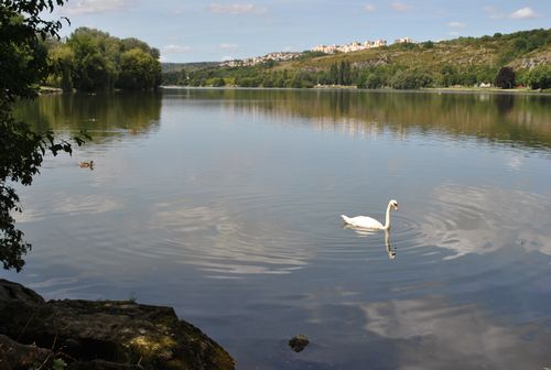 Dijon lac de kir 2012 08 16 3