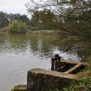 Dombes 1 2012