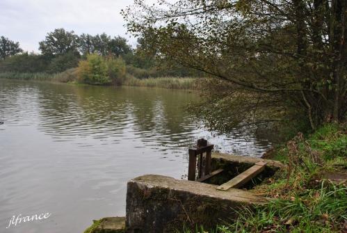 Dombes 1 2012