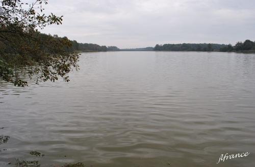 Dombes 2 2012