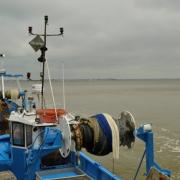 Dsc0047 1