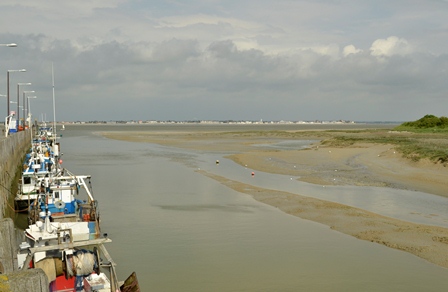 Dsc0104