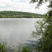 Etang des forges 2022 5
