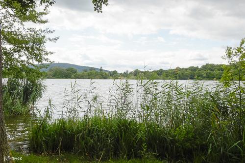 Etang des forges 2022