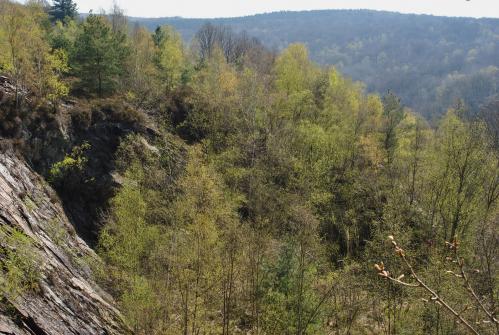 Montherme 1 2013