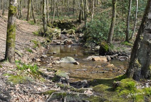 Montherme 6 2013