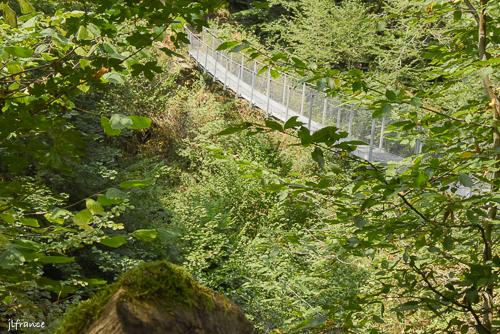 Passerelle himalayenne des rochers noirs 2024 08
