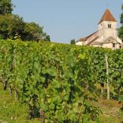Route des vins de bourgogne 2019 9
