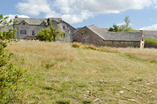 Sainte enimie boisset 12
