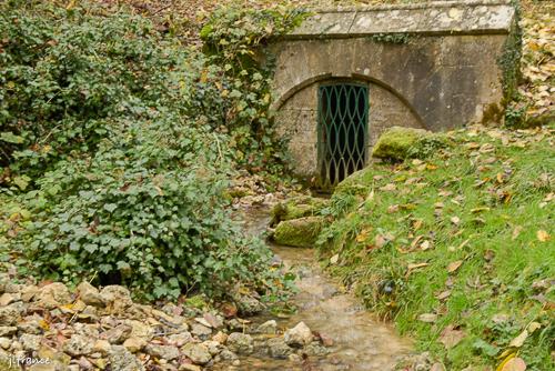 Source de la marne