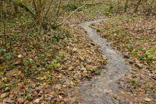 Source de la marne 2