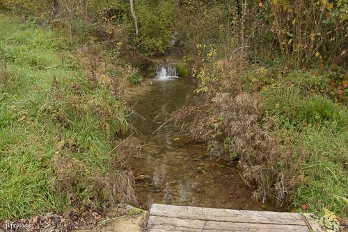 Source de la marne 3