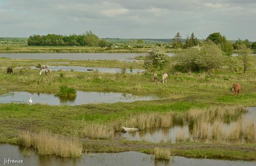 Train de la baie de somme 6