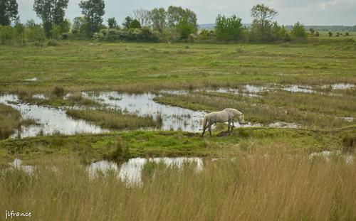 Train de la baie de somme 7