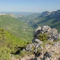 Belve de re de re voulat 2025 9