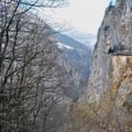 Chartreuse 5