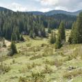 Col de carri 2022 05 15