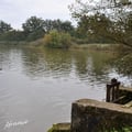 Dombes 1 2012