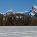 Morillon1 2010